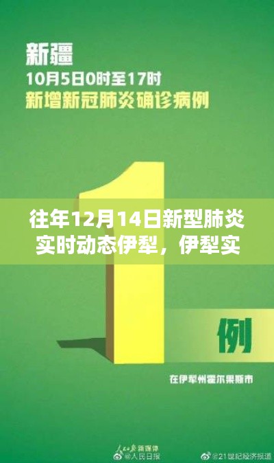 歷年12月14日新型肺炎實時動態聚焦伊犁,最新進展與播報匯總