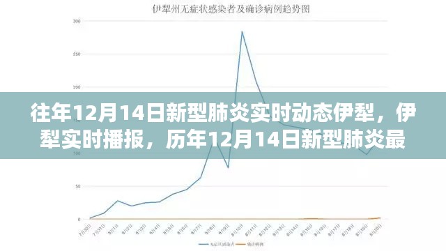 歷年12月14日新型肺炎實時動態聚焦伊犁,最新進展與播報匯總
