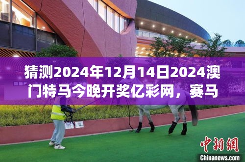 猜測(cè)2024年12月14日2024澳門(mén)特馬今晚開(kāi)獎(jiǎng)億彩網(wǎng)，賽馬概率游戲的冒險(xiǎn)之旅