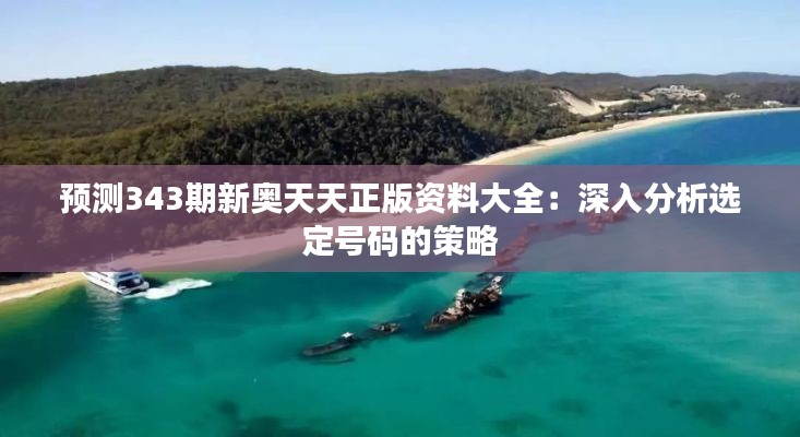 預(yù)測(cè)343期新奧天天正版資料大全：深入分析選定號(hào)碼的策略