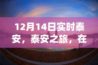 泰安冬日之旅,暖陽下的心靈尋覓與詩意美景