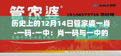 歷史上的12月14日管家婆一肖-一碼-一中:肖一碼與一中的合作與共贏