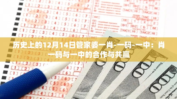 歷史上的12月14日管家婆一肖-一碼-一中:肖一碼與一中的合作與共贏