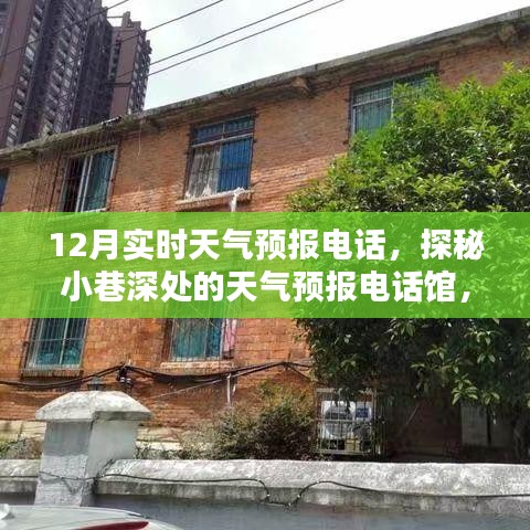 探秘小巷深處的天氣預報電話館,十二月實時天氣預報熱線,溫暖觸手可及!