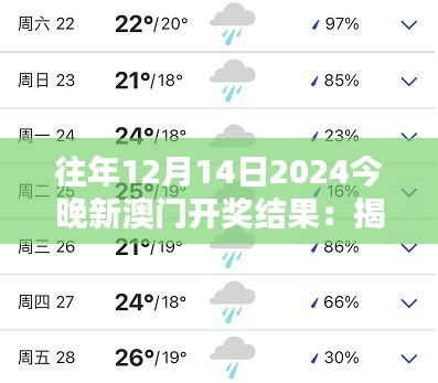 往年12月14日2024今晚新澳門開獎結果:揭曉時刻,心跳與期待的同步