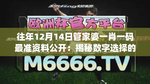 往年12月14日管家婆一肖一碼最準(zhǔn)資料公開:揭秘?cái)?shù)字選擇的潛在邏輯