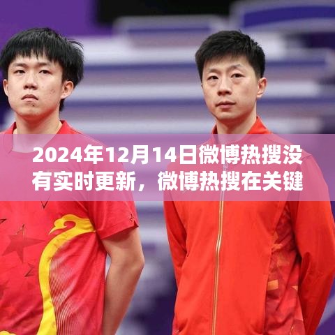 2024年12月14日微博熱搜缺失實時更新,深入評測分析