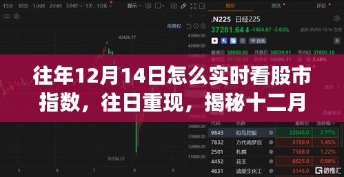 揭秘十二月十四日股市指數的實時觀察之旅,歷史數據與當日重現分析