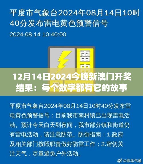 12月14日2024今晚新澳門開獎結果：每個數字都有它的故事，新澳門開獎夜，幸運屬于誰？