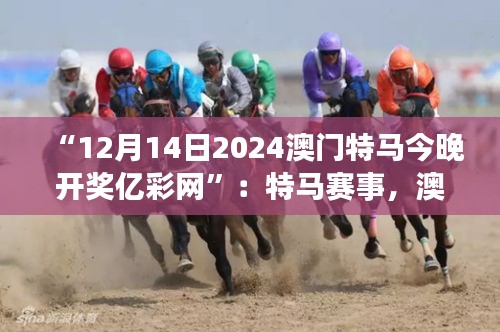 “12月14日2024澳門特馬今晚開獎億彩網”：特馬賽事，澳門的驕傲