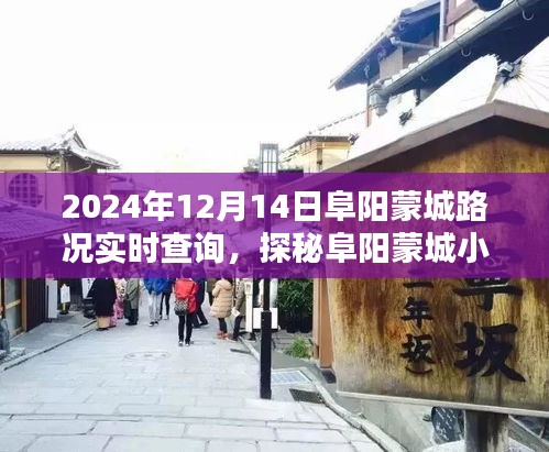 探秘阜陽蒙城小巷深處隱藏瑰寶,實時路況查詢下的驚喜發現