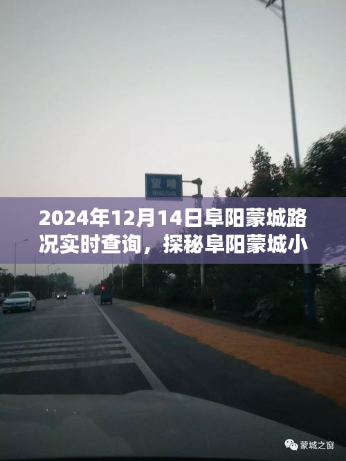 探秘阜陽蒙城小巷深處隱藏瑰寶,實時路況查詢下的驚喜發現