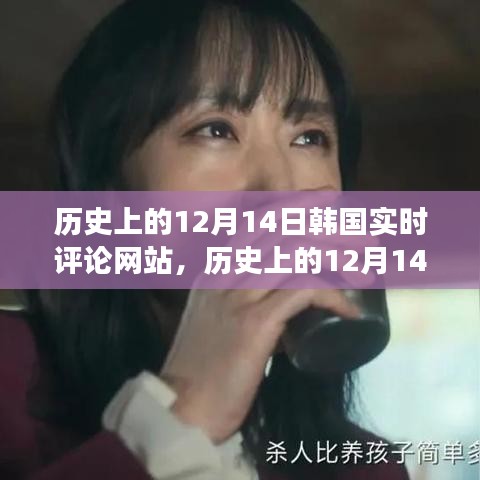 韓國實時評論網站的演變與影響,歷史上的12月14日回顧