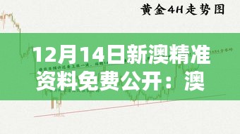 12月14日新澳精準(zhǔn)資料免費(fèi)公開:澳新的商業(yè)機(jī)遇一手掌握