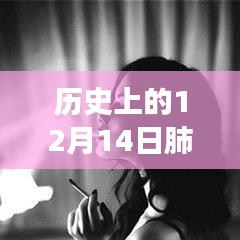 歷史上的十二月十四日,肺炎動態壁紙與動漫壁紙店的探秘之旅