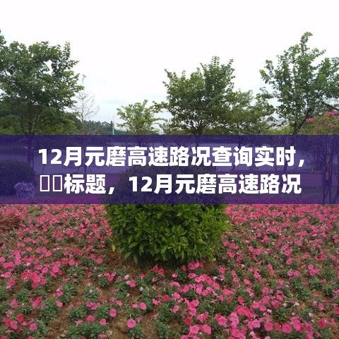 12月元磨高速路況實時更新,與自然美景共舞的心靈寧靜之旅。
