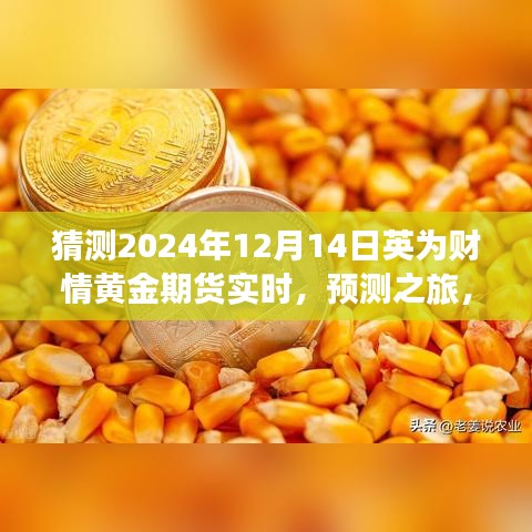 解讀英為財情黃金期貨市場展望，預測黃金期貨未來走勢，探尋黃金市場趨勢——聚焦2024年12月14日實時動態分析之旅
