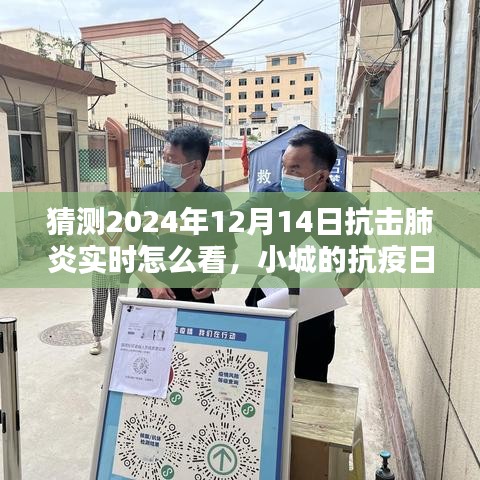 2024年12月14日小城抗疫日記,抗擊肺炎實(shí)時(shí)觀察與溫馨抗疫時(shí)光