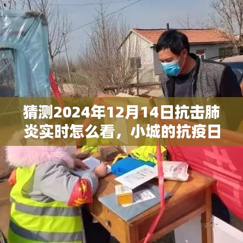 2024年12月14日小城抗疫日記,抗擊肺炎實時觀察與溫馨抗疫時光