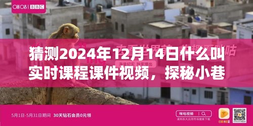 探秘實時課程課件視頻，小巷深處的寶藏與特色小店的奇妙邂逅，2024年12月14日的探索之旅
