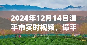 漳平市實時視頻回顧,時代影像印記 2024年12月14日