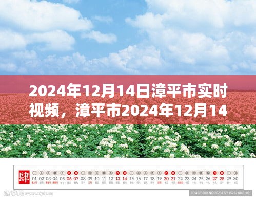 漳平市實時視頻回顧,時代影像印記 2024年12月14日