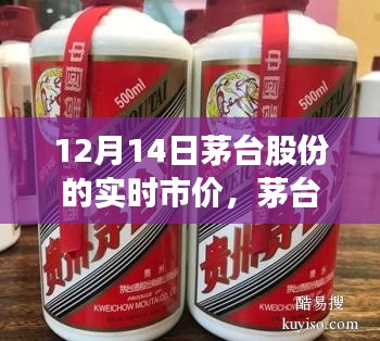 茅臺股份實時市價與心靈平和之旅,與自然美景的邂逅