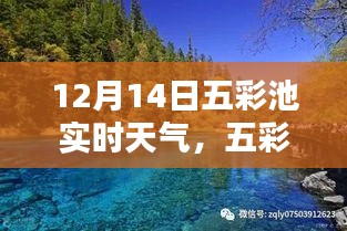 五彩池畔冬日暖陽,12月14日實時天氣報告