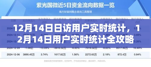 12月14日用戶實(shí)時統(tǒng)計全攻略,日訪用戶分析任務(wù)一步步完成