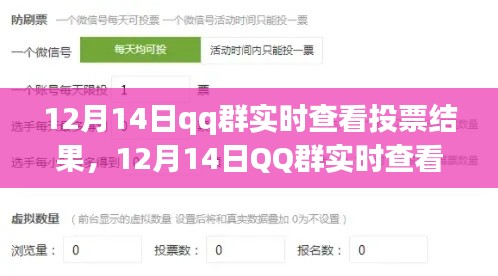 12月14日QQ群實時投票結果查看功能深度評測與介紹