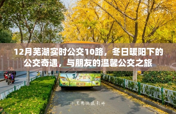 冬日暖陽下的溫馨公交之旅,蕪湖實時公交10路之旅