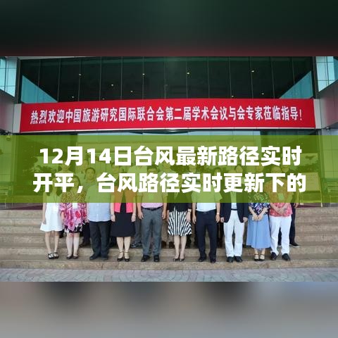 臺風路徑實時更新決策考量,以12月14日為例的探討