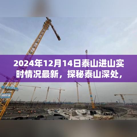 探秘泰山深處,小巷特色小店與最新進山實時情況揭秘