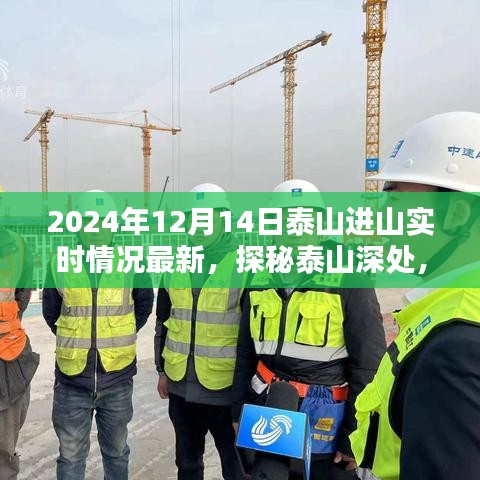 探秘泰山深處,小巷特色小店與最新進山實時情況揭秘