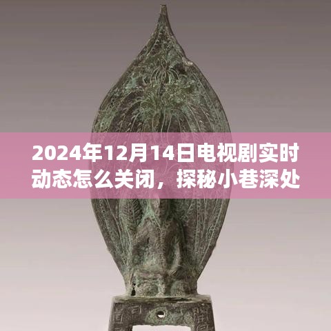 探秘電視劇實(shí)時(shí)動態(tài)關(guān)閉秘籍,解鎖電視劇屏蔽秘境,教你如何屏蔽電視劇動態(tài)通知(針對2024年12月14日)