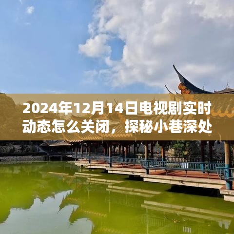 探秘電視劇實時動態關閉秘籍,解鎖電視劇屏蔽秘境,教你如何屏蔽電視劇動態通知(針對2024年12月14日)