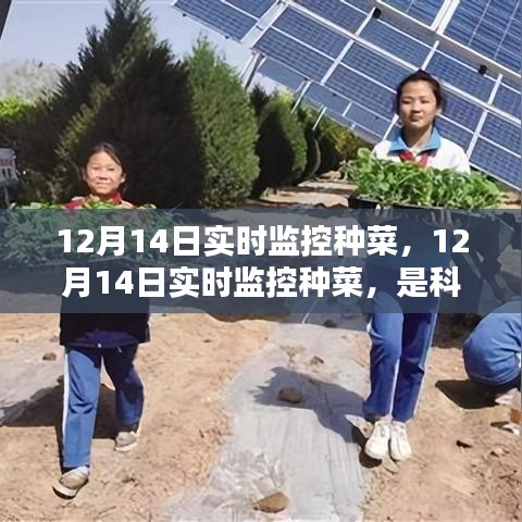 科技賦能還是過度干預?種菜實時監控引發爭議。