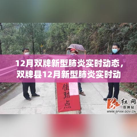 雙牌縣十二月新型肺炎實時動態(tài)概覽,背景、進展與影響分析