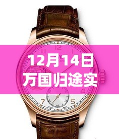 12月14日萬國歸途實時票房深度解析,表現、特性、體驗、競品對比及用戶群體全面剖析