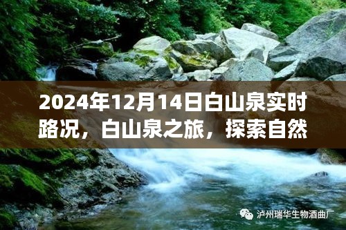 白山泉之旅,探索自然美景,實時路況更新與內心平靜的追尋