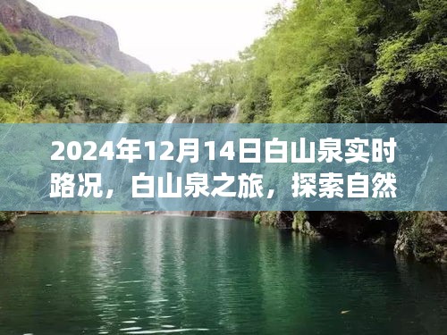 白山泉之旅,探索自然美景,實時路況更新與內心平靜的追尋