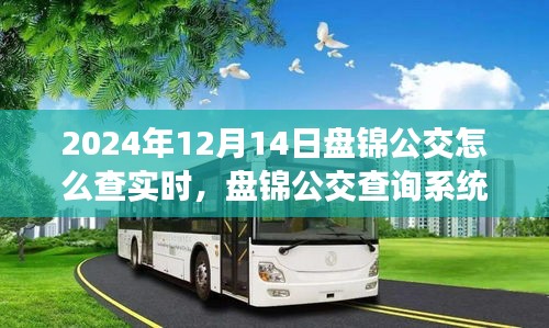 2024年盤錦公交查詢系統升級實時功能深度評測與指南