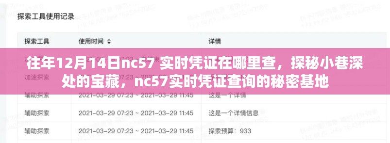 探秘往年12月14日nc57實時憑證查詢的秘密基地，小巷深處的寶藏大揭秘