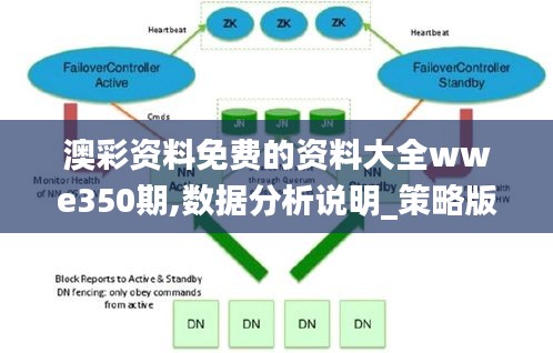 澳彩資料免費的資料大全wwe350期,數據分析說明_策略版1.167