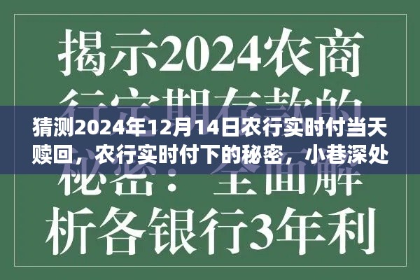 農行實時付,揭秘特色贖回與小巷深處的秘密小店探秘