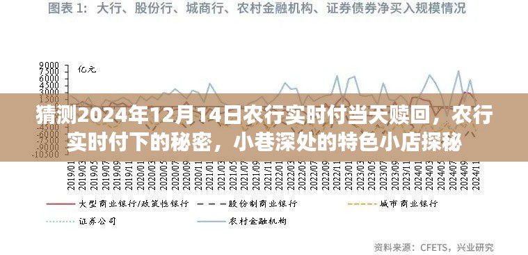 農(nóng)行實時付,揭秘特色贖回與小巷深處的秘密小店探秘