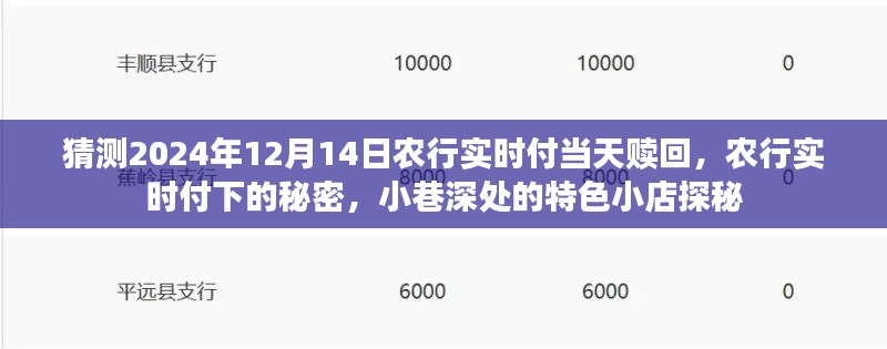 農(nóng)行實時付,揭秘特色贖回與小巷深處的秘密小店探秘