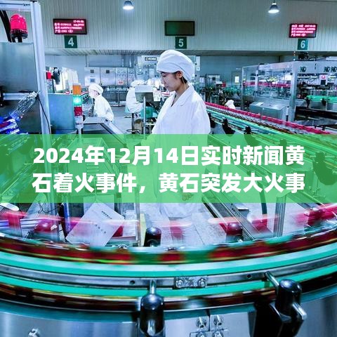 黃石大火突發,全面解讀2024年12月14日實時新聞。