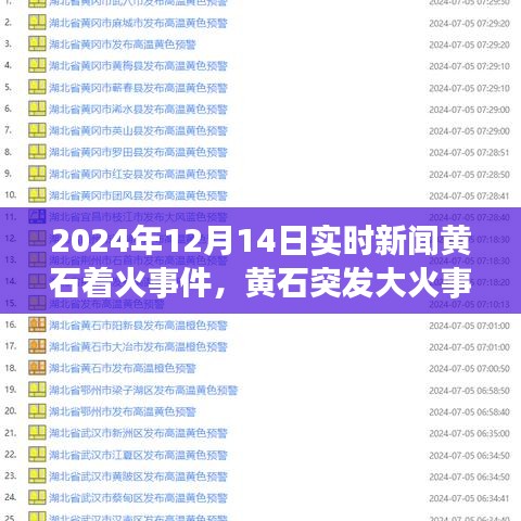 黃石大火突發,全面解讀2024年12月14日實時新聞。