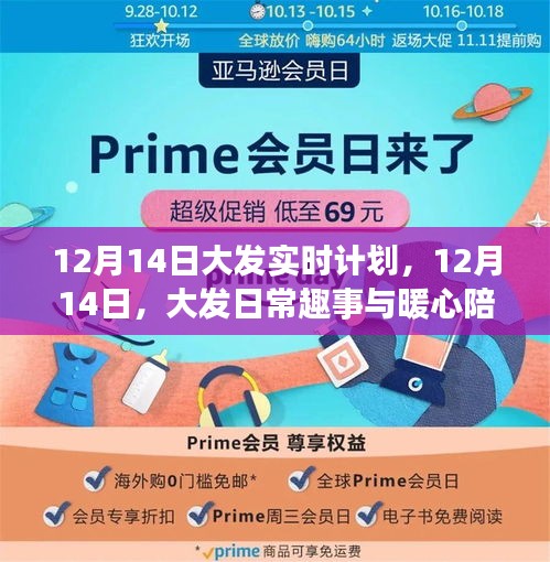 12月14日大發日常趣事與暖心陪伴的實時計劃